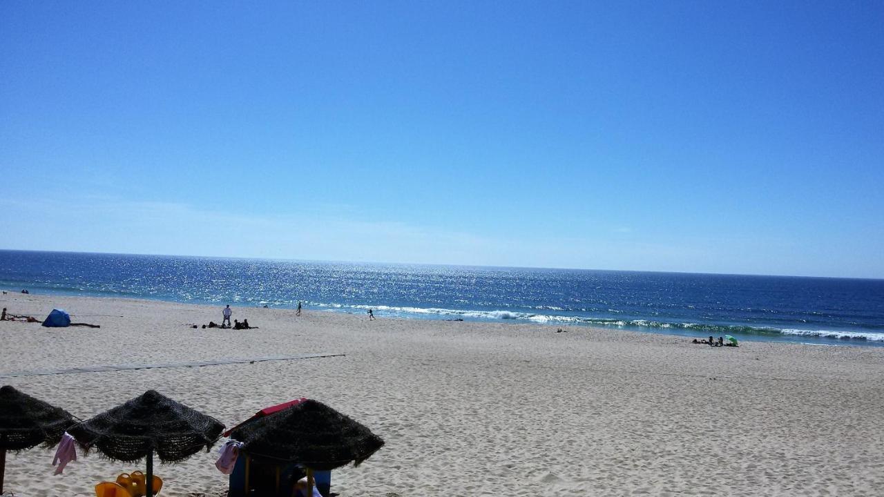 Grândola Monte D'Vagar By Estilo Lusitano, Com Piscina Privadaヴィラ エクステリア 写真