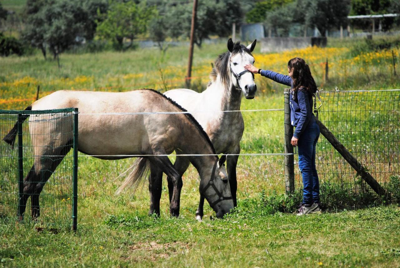 Grândola Monte D'Vagar By Estilo Lusitano, Com Piscina Privadaヴィラ エクステリア 写真